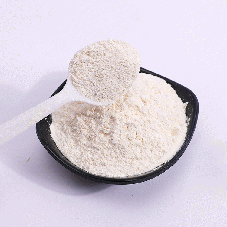 Chondroitin Sulfate Sodium Bovine powder