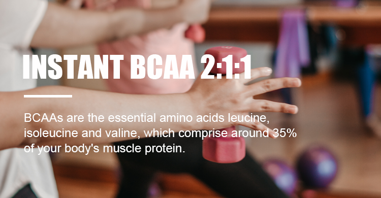 INSTANT BCAA 2:1:1（Fermented）
